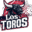 LOGO-TOROS