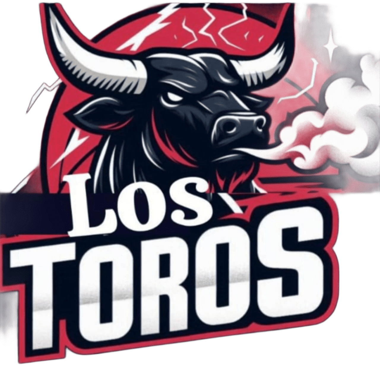 LOGO-TOROS